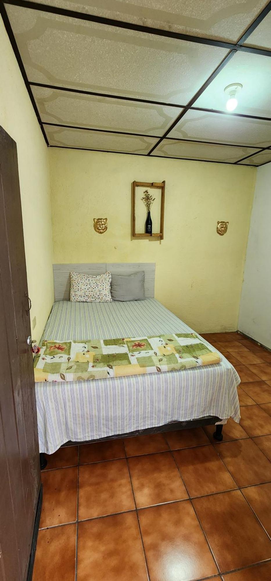 Jaguar Basic Accommodation Antigua Exterior photo