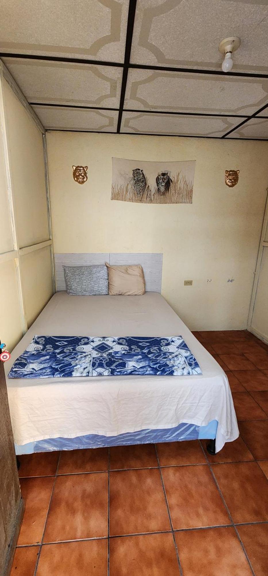 Jaguar Basic Accommodation Antigua Exterior photo